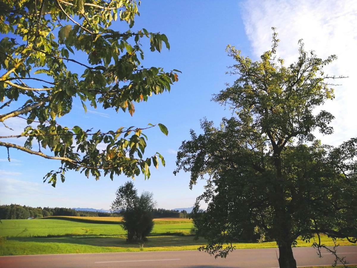Ferienwohnung Moierhof Palling Bagian luar foto