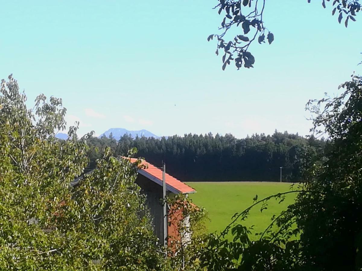 Ferienwohnung Moierhof Palling Bagian luar foto